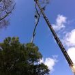 Photo #5: HAMMCO TREE SERVICE