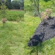Photo #7: Addor LANDSCAPING / Grass cutting $35- Mulching - Stone beds - Weed and Feed