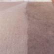 Photo #21: Zap Carpet Cleaning