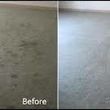 Photo #17: Zap Carpet Cleaning