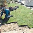 Photo #4: Sod -- Landscaping -- Storm Cleanup