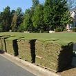 Photo #2: Sod -- Landscaping -- Storm Cleanup