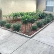 Photo #1: Melendez Landscaping and Lawn maintenance