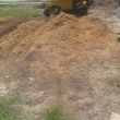 Photo #3: Brad Frederick's - Stump Grinding & surface roots removal