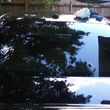 Photo #1: Pinellas & Pasco County #1 Mobile Window Tint