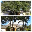 Photo #14: TREE TRIMMING. ASAP-NO HASSLE/FLAT RATE TREE WORK !