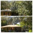 Photo #13: TREE TRIMMING. ASAP-NO HASSLE/FLAT RATE TREE WORK !