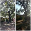 Photo #11: TREE TRIMMING. ASAP-NO HASSLE/FLAT RATE TREE WORK !