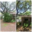 Photo #7: TREE TRIMMING. ASAP-NO HASSLE/FLAT RATE TREE WORK !