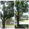 Photo #6: TREE TRIMMING. ASAP-NO HASSLE/FLAT RATE TREE WORK !