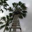 Photo #3: TEZNA LANDSCAPING & TREE TRIMMING SERVICES