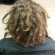 Photo #2: Affordable Dreadlocks! St Pete