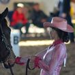 Photo #1: HORSEBACK RIDING LESSON. Horse Sense Florida