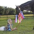 Photo #2: HORSEBACK RIDING LESSON. Horse Sense Florida