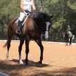 Photo #4: HORSEBACK RIDING LESSON. Horse Sense Florida