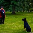 Photo #8: NEXUSHAUS K-9 SERVICES - DOG TRAINING/ DOG BOARDING