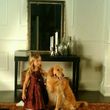 Photo #3: IN HOME DOG TRAINING - Home Sweet Home