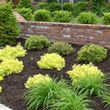 Photo #2: LANDSCAPING & MORE - PROFESSIONAL WORK, 'DIRT CHEAP' !!!