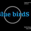 Photo #1: BLUE BIRDS Lawncare & irrigation