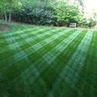 Photo #1: Elite Landscaping. 50% off 1st mowing when signing up for rest of season
