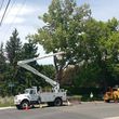 Photo #10: URIBES TREE SERVICE. 24/7 emergency services