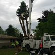 Photo #9: URIBES TREE SERVICE. 24/7 emergency services