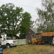 Photo #4: URIBES TREE SERVICE. 24/7 emergency services