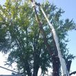 Photo #3: URIBES TREE SERVICE. 24/7 emergency services
