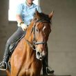 Photo #1: Get your riding on the path to success! Riding lessons/ Horse Training/Boarding