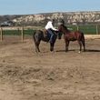 Photo #1: Horse Training, Lessons, Sales