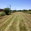 Photo #7: Shredding services & tractor mowing