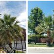 Photo #13: IndustriaLawn LLC. landscaping, pressure washing, tree service