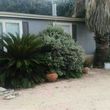 Photo #12: Rey's Lawn&Landscaping. Total Yard Makeovers!!