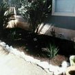 Photo #11: Rey's Lawn&Landscaping. Total Yard Makeovers!!