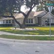 Photo #21: Lawn Care/ Cut Yards/ Tree Service/ Landscaping
