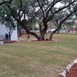Photo #12: Lawn Care/ Cut Yards/ Tree Service/ Landscaping