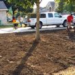 Photo #8: Lawn Care/ Cut Yards/ Tree Service/ Landscaping