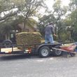 Photo #7: Lawn Care/ Cut Yards/ Tree Service/ Landscaping