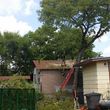 Photo #5: Lawn Care/ Cut Yards/ Tree Service/ Landscaping
