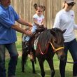 Photo #6: Boots and Bows Pony Parties