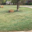 Photo #8: Don't Settle for Cheap Lawn Service! Turf Raider Lawn & Landscape
