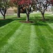 Photo #1: Brush Removal, Lawn Maintenance Available