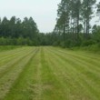 Photo #1: New View Land Clearing. Bush Hogging / Field Mowing