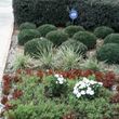 Photo #1: JFR Landscaping - half off on SECOND service