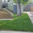 Photo #1: Licensed and insured Lawncare