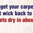 Photo #1: Christy's Carpet Cleaning (Read About Our $60.00 Special)
