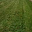 Photo #1: Professional Lawn Care At An Affordable Price