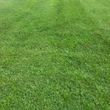 Photo #2: LMOWING YARD $25-$35. Melton Lawn Care