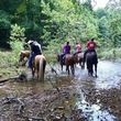 Photo #8: Horseback Riding Lessons by Finley River Stables