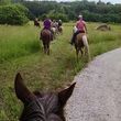 Photo #7: Horseback Riding Lessons by Finley River Stables